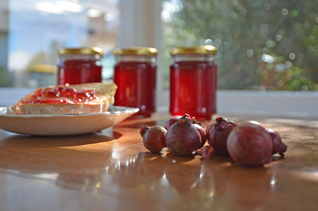 Old-Fashioned Guava Jelly